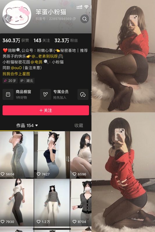 【在线看】抖音 笨蛋小粉猫 微密圈  NO.002期 【14P7V】-秘岛微密圈秘语空间全网写真