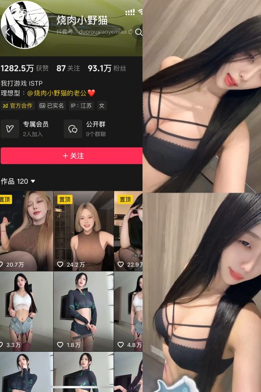 【在线看】抖音 烧肉小野猫 秘语空间 NO.002期 【4V】-秘岛微密圈秘语空间全网写真