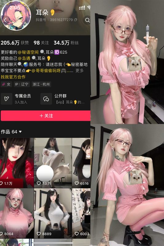 【在线看】抖音 耳朵 岛遇 NO.001期 【5P13V】-秘岛微密圈秘语空间全网写真