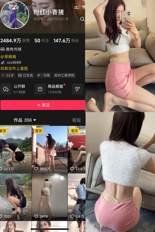 【在线看】抖音 粉红小香猪 岛遇 NO.005期 【5P1V】-秘岛微密圈秘语空间全网写真