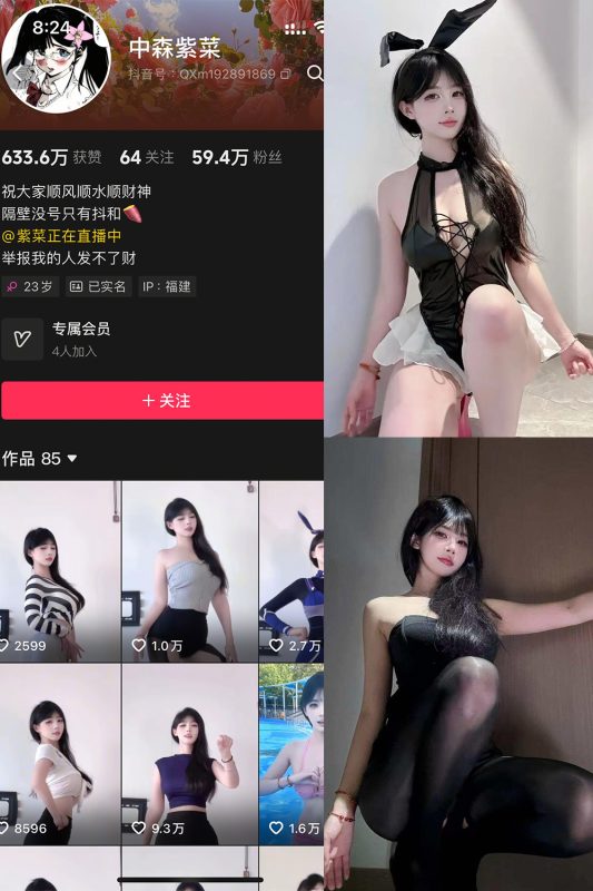 【在线看】抖音 中森紫菜 岛遇 NO.004期 【8P9V】-秘岛微密圈秘语空间全网写真