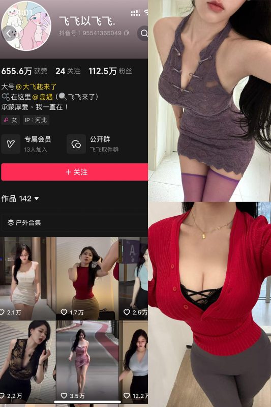 【在线看】抖音 飞飞以飞飞 岛遇 NO.001期 【21P1V】-秘岛微密圈秘语空间全网写真