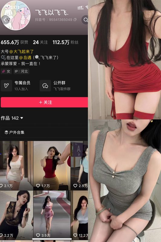 【在线看】抖音 飞飞以飞飞 岛遇 NO.002期 【20P5V】-秘岛微密圈秘语空间全网写真